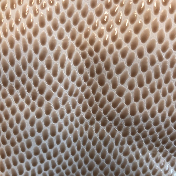 BCBGeneration ivory & tan snake faux leather accordion crossbody bag- NEW - Picture 2 of 8